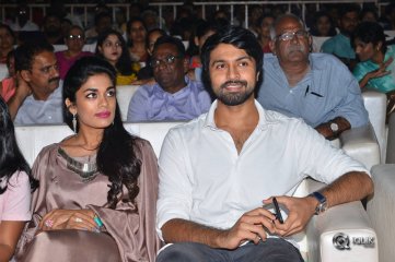 Rangasthalam Movie Pre Release Event Photos